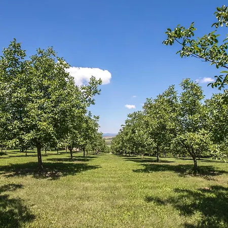Gasthof Dioliget - Diofacska Preshaz
