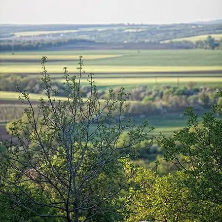 Dioliget - Diofacska Preshaz Gasthof Lovasberény