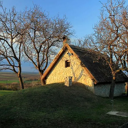 Guest house Dioliget - Diofacska Preshaz Lovasbereny